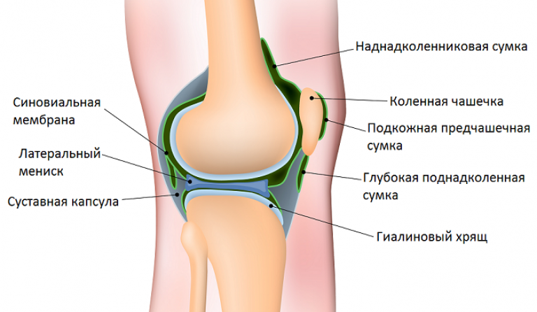 патологические синовиальные складки коленного сустава патологические синовиальные складки коленного сустава